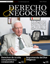 Revista Derecho y Negocios